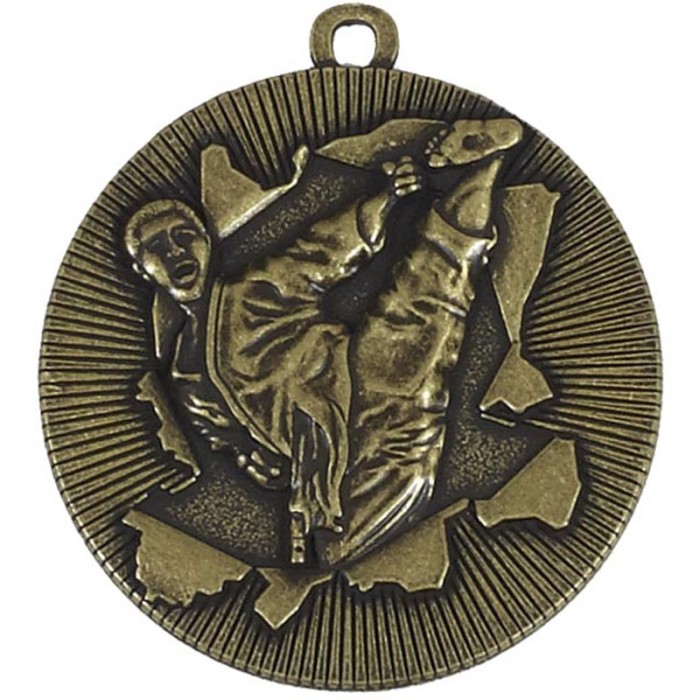 50MM MARTIAL ARTS MEDAL  - GOLD